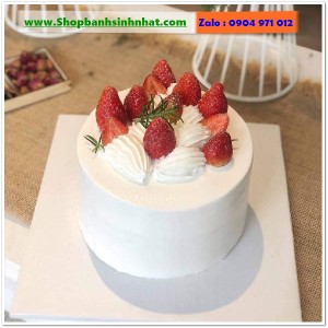 Bánh Sinh Nhật Trái Cây Tươi - U90